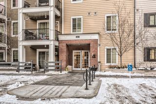 Photo 28: 3104 215 Legacy Boulevard SE in Calgary: Legacy Apartment for sale : MLS®# A1168365