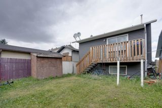 Photo 33: 188 Falmere Way NE in Calgary: Falconridge Detached for sale : MLS®# A1142589