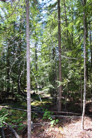 Photo 20: Lot 212 Estate Place in Anglemont: North Shuswap Land Only for sale : MLS®# 10233839