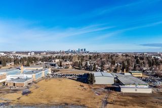 Photo 36: 29 Fredson Drive SE in Calgary: Fairview Detached for sale : MLS®# A1179362