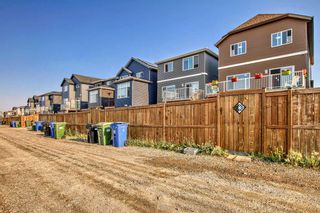Photo 39: 77 Howse Common NE in Calgary: Livingston Detached for sale : MLS®# A2069769