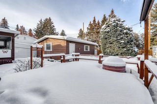 Photo 37: 608 Willow Park Drive SE in Calgary: Willow Park Detached for sale : MLS®# A2021978