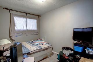 Photo 21: 16 Whitman Close NE in Calgary: Whitehorn Duplex for sale : MLS®# A1244403