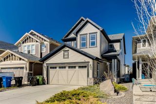 Main Photo: 69 Evansfield Park NW in Calgary: Evanston Detached for sale : MLS®# A2128608