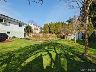 Photo 8: 333 Stannard Ave in VICTORIA: Vi Fairfield West House for sale (Victoria)  : MLS®# 723018