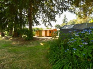 Photo 27: 207 Twillingate Rd in CAMPBELL RIVER: CR Willow Point House for sale (Campbell River)  : MLS®# 795130