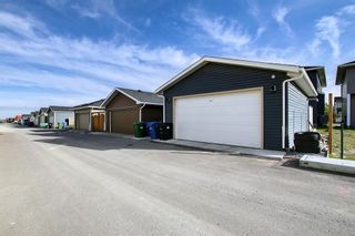 Photo 42: 508 Redstone Drive NE in Calgary: Redstone Detached for sale : MLS®# A2002884