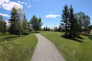 Photo 41: 315 SCENIC VIEW Bay NW in Calgary: Scenic Acres Detached for sale : MLS®# A1035416