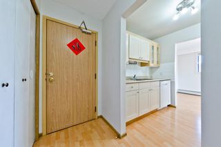 Photo 6: 302 123 22 Avenue NE in Calgary: Tuxedo Park Apartment for sale : MLS®# A1235714