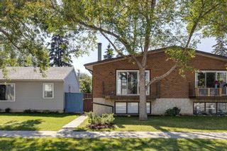 Photo 2: 313 28 Avenue NE in Calgary: Tuxedo Park Semi Detached (Half Duplex) for sale : MLS®# A2079035