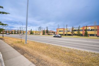 Photo 36: 243 Castlebrook Road NE in Calgary: Castleridge Detached for sale : MLS®# A1246240
