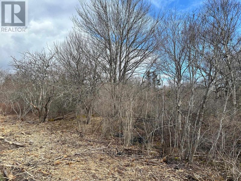 FEATURED LISTING: Lot - 4 Shore Road Western Head
