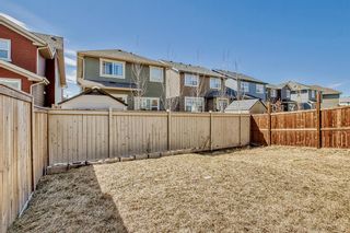 Photo 42: 305 Kings Heights Drive SE: Airdrie Detached for sale : MLS®# A2044354