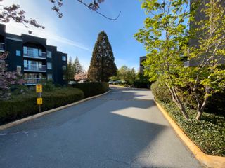 Photo 15: 208 5700 200 Street in Langley: Langley City Condo for sale in "Langley Village" : MLS®# R2875175
