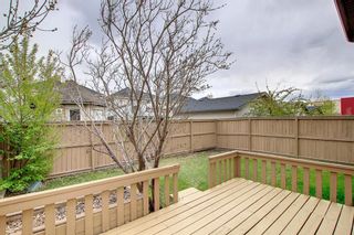 Photo 40: 211 Cranberry Way SE in Calgary: Cranston Detached for sale : MLS®# A1217518