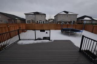 Photo 28: 218 Snowberry Circle in Winnipeg: House for sale : MLS®# 202403773