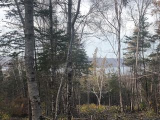 Photo 4: Lot Highway 101 in Smiths Cove: Digby County Vacant Land for sale (Annapolis Valley)  : MLS®# 202303566