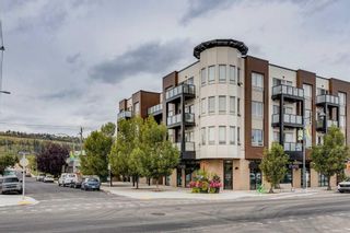 Photo 1: 314 1899 45 Street NW in Calgary: Montgomery Apartment for sale : MLS®# A2130571