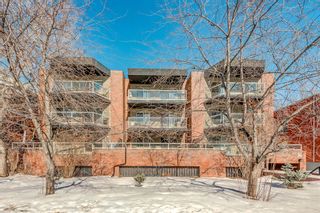 Photo 2: 15 210 25th Avenue SW in Calgary: Mission Apartment for sale : MLS®# A2033114