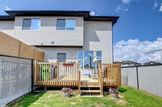 Photo 41: 143 Covemeadow Close NE in Calgary: Coventry Hills Semi Detached (Half Duplex) for sale : MLS®# A1235139