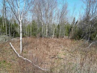 Photo 6: Lot 22-1 Pleasant Drive in Lyons Brook: 108-Rural Pictou County Vacant Land for sale (Northern Region)  : MLS®# 202317583