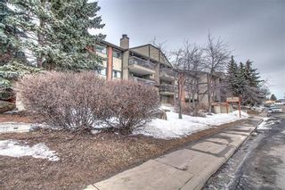 Photo 30: 13045 6 Street SW Unit#2102 in Calgary: Canyon Meadows Apartment for sale : MLS®# C4176933