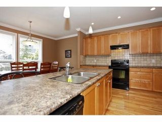 Photo 9: 19640 73B AV in Langley: Willoughby Heights House for sale : MLS®# F1413032