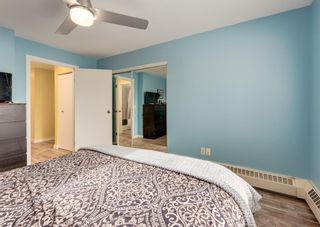 Photo 18: 208 11 Dover Point SE in Calgary: Dover Apartment for sale : MLS®# A1151634