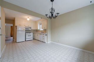 Photo 15: 3731 DUNBAR Street in Vancouver: Dunbar House for sale (Vancouver West)  : MLS®# R2754842