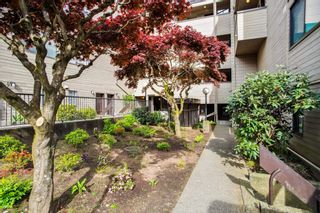 Photo 24: 309 1363 CLYDE Avenue in West Vancouver: Ambleside Condo for sale in "Place Fourteen" : MLS®# R2879742