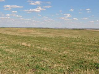 Photo 1: : Rural Mountain View County Land for sale : MLS®# C3641080