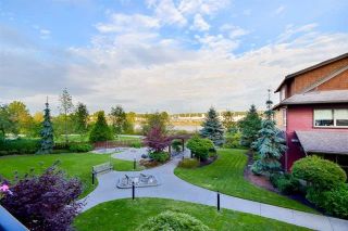 Photo 8: 208 240 Salter Street in New Westminster: Queensborough Condo for sale : MLS®# R2146980