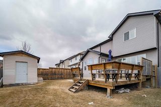 Photo 42: 145 Royal Birch Crescent NW in Calgary: Royal Oak Detached for sale : MLS®# A1205184
