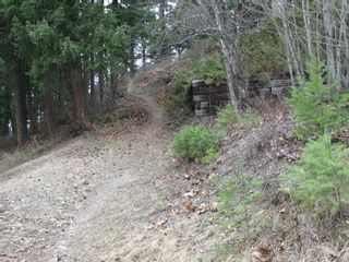 Photo 9: Lot 58 Ta Lana Trail in Sorrento: Blind Bay Land Only for sale (Shuswap)  : MLS®# 10250097