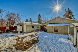 Photo 28: 2439 52 Avenue SW in Calgary: North Glenmore Park Detached for sale : MLS®# A2028594