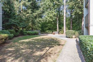 Photo 32: 317 1210 PACIFIC Street in Coquitlam: North Coquitlam Condo for sale in "GLENVIEW MANOR" : MLS®# R2732191