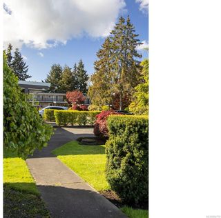Photo 28: 17 1701 McKenzie Ave in Saanich: SE Mt Tolmie Row/Townhouse for sale (Saanich East)  : MLS®# 962718