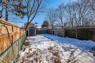 Photo 36: 157 Brookside Avenue in Toronto: Freehold for sale : MLS®# W5503107