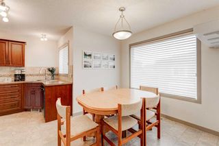 Photo 17: 2 Skyview Springs Rise NE in Calgary: Skyview Ranch Detached for sale : MLS®# A2129539
