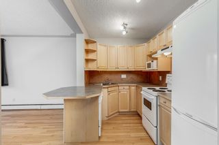 Photo 10: 5 2417 2 Street SW in Calgary: Mission Apartment for sale : MLS®# A2013880