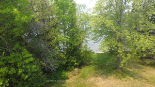 Photo 6: 120 Raven Lake Road in Kawartha Lakes: Rural Bexley House (Bungalow) for sale : MLS®# X6119828