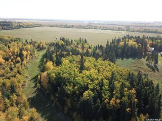 Photo 50: Park Valley Acreage in Canwood: Residential for sale (Canwood Rm No. 494)  : MLS®# SK965350