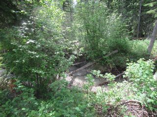 Photo 8: 70041 Highway 591: Rural Clearwater County Detached for sale : MLS®# C4305359