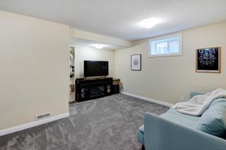 Photo 24: 185 Evansdale Way NW in Calgary: Evanston Detached for sale : MLS®# A2042834