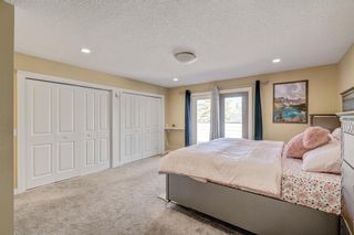 Photo 26: 247 Pump Hill Crescent SW in Calgary: Pump Hill Detached for sale : MLS®# A2117691