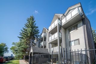 Photo 20: 308 717 4A Street NE in Calgary: Renfrew Apartment for sale : MLS®# A2008171