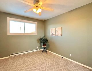 Photo 27: 244 Brown Avenue East in Dauphin: R30 Residential for sale (R30 - Dauphin and Area)  : MLS®# 202330852
