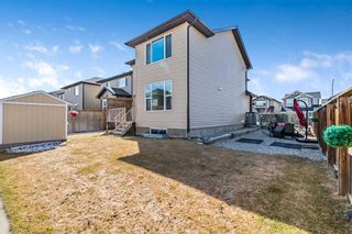 Photo 30: 2112 Brightoncrest Green in Calgary: New Brighton Detached for sale : MLS®# A2121940