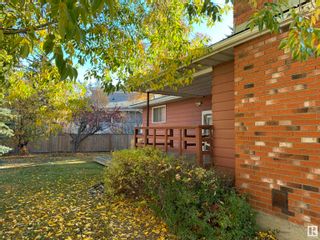 Photo 45: 195 WESTRIDGE Road in Edmonton: Zone 22 House for sale : MLS®# E4321050