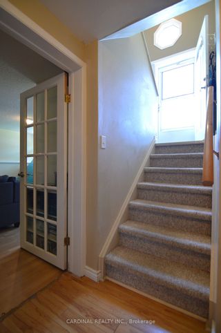 Photo 30: 123 Ontario Street: Brighton House (Bungalow-Raised) for sale : MLS®# X5955100